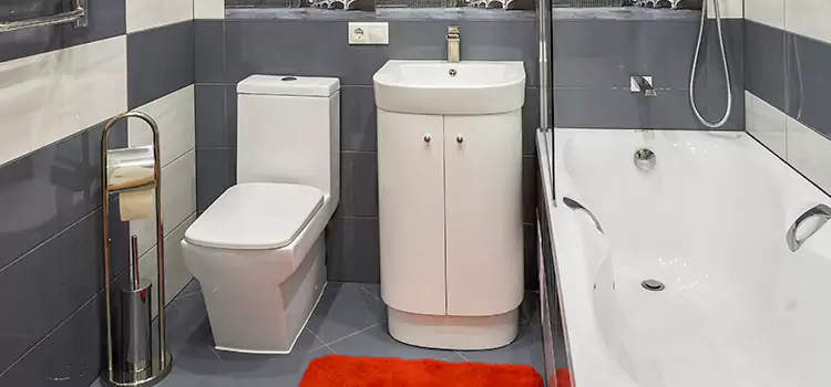 Hansgrohe Shaving Mirror El Centro